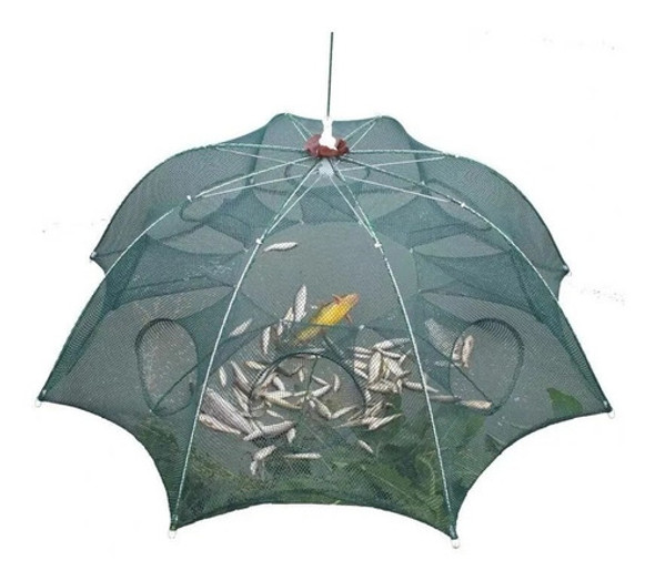 Covo Armadilha De Peixes 6 Bocas-camaroes, Lambaris E Piabas 1 Covo Armadilha De Peixes 6 Bocas-camaroes, Lambaris E Piabas 1