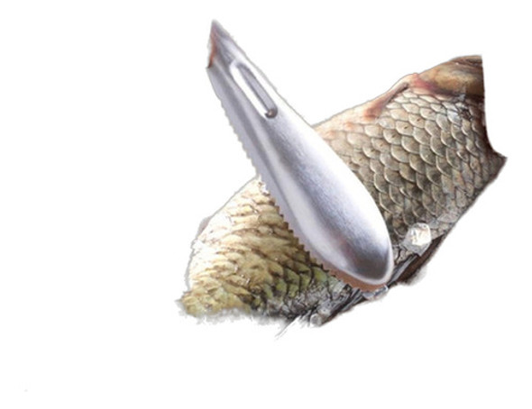 Cepillo Para Escamas De Pescado Con Dientes Acero Inoxidable 0