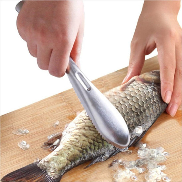 Cepillo Para Escamas De Pescado Con Dientes Acero Inoxidable 1