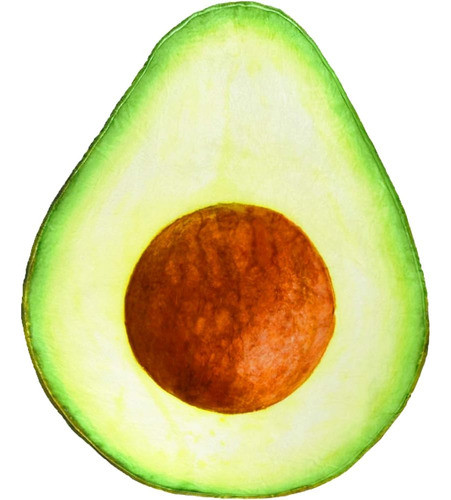 Manta De Aguacate Fomoom, Manta De Comida Realista Súper Aco 0