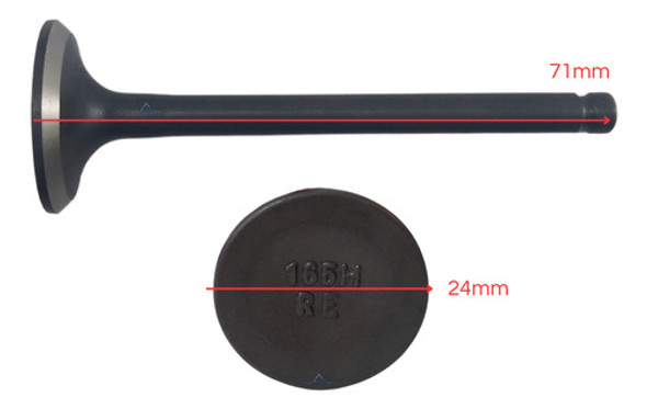 Válvula De Exaustão Cód: 29114284 Motor 165 4.0hp Menegotti 1