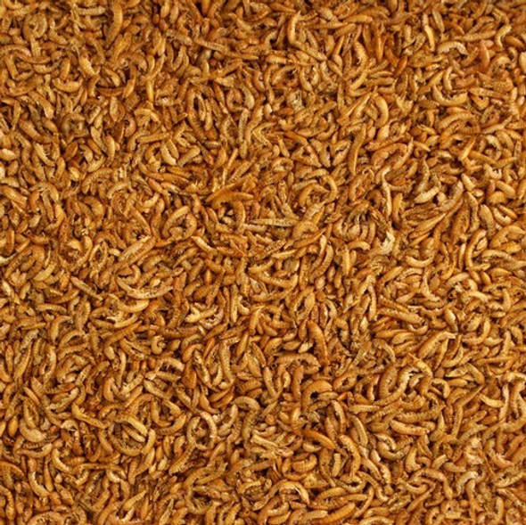 Alcon Club Alimento Para Répteis Gammarus 7g 1