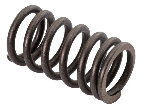 Resorte De Valvula De Admision Yamaha Vx1000 4t Interior 0