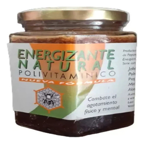 Miel Polivitaminico 500 Gr 0