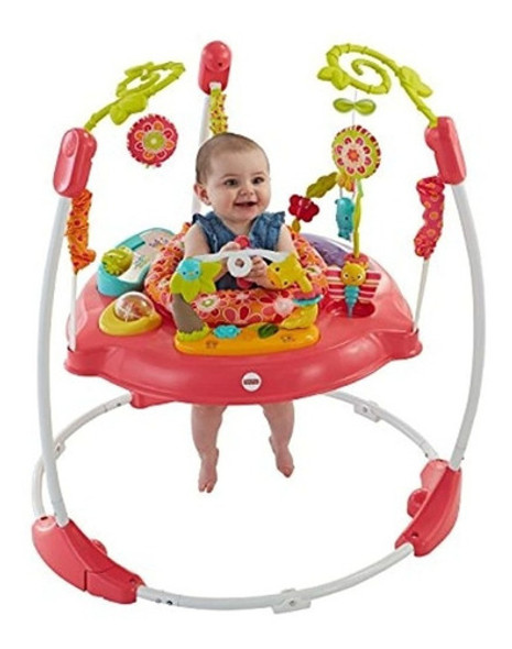Fisher-price Jumperoo: Pink Petals 1
