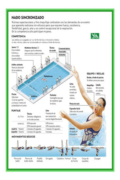 Nado Sincronizado Natación Deporte Olímpico -lámina 45x30 Cm 0