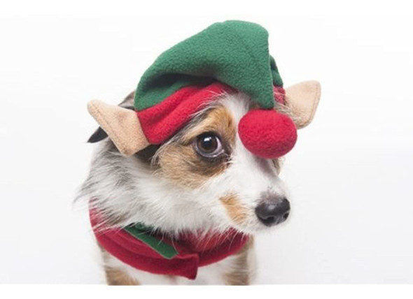 Mascota Elfo Sombrero De Moda Para Perros Pequeñamediana Co 1