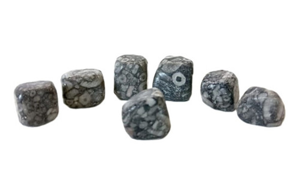 Jaspe Fosil Rolado - Ixtlan Minerales 0