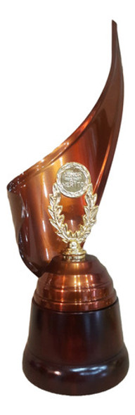 Trofeo Metálico Envolvente Honor Al Mérito 37cm Base Madera 0 Trofeo Metálico Envolvente Honor Al Mérito 37cm Base Madera 0