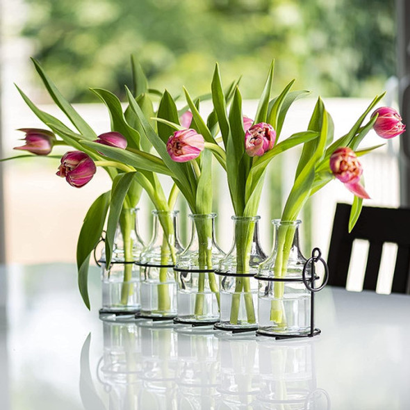 Jarrón De Flores De Vidrio 5pc Con Soporte De Metal, Los Mej 1 Jarrón De Flores De Vidrio 5pc Con Soporte De Metal, Los Mej 1