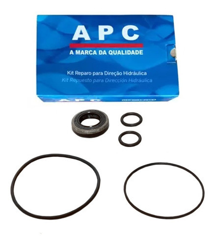 Reparo Bomba Direção Hidráulica Renault Clio Megane Scenic 0
