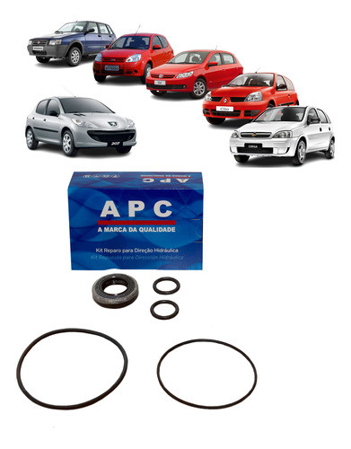 Reparo Bomba Direção Hidráulica Renault Clio Megane Scenic 0