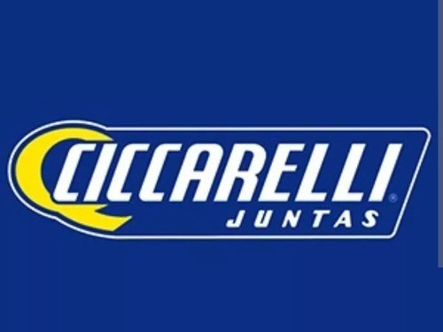 Juego De Descarbonizacion Fiat Uno Duna Tipo 1.6 Cicarelli 1