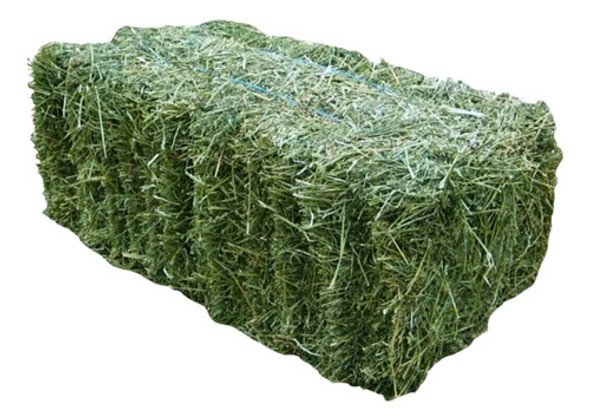 Feno Alfafa P/ Cavalo Hamster Porquinho Da India Coelho 2kg 1