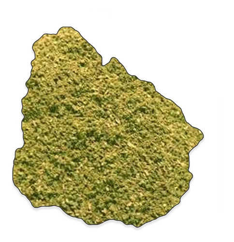 Condimento Verde Especial - Excelente Calidad - 500g Envio 0