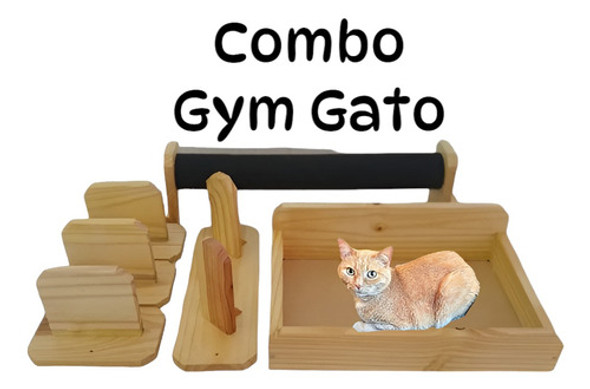 Combo Gym Para Gatos 0