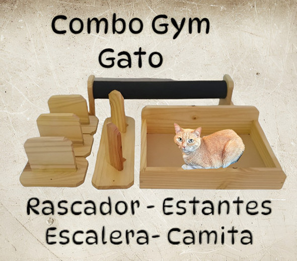 Combo Gym Para Gatos 1