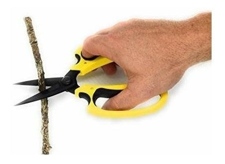 Tijeras Florales De Grado Profesional Hoja De Acero De Alto 1