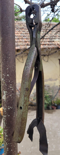 Pinza Marcar Ovejas En Oreja Trebol 1