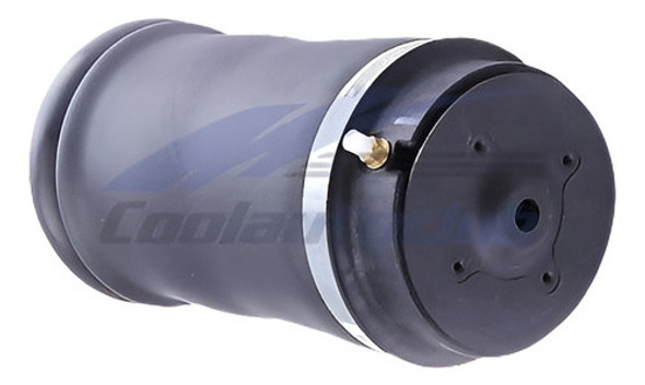 Para El Resorte De Suspensión De Aire Trasera Mercedes W164 1