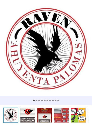 Off Bat Raven Fin Murcielago Edificio Taparollo H 1.4 Inocuo 0