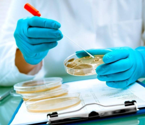 Placa De Petri Esteril Ps 60 X 15 Mm - Pack X 10 Und 1