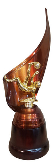 Trofeo Metálico Fútbol Chilena Goleador 28cm Base Madera Env 0