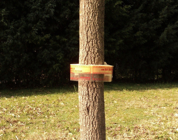 Pack X 3 Barrera Banda Protectora Hormigas Arboles Plantas 1