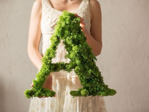 Musgo Decoracion Souvenirs Centro De Mesa Natural Seco 50grs 0