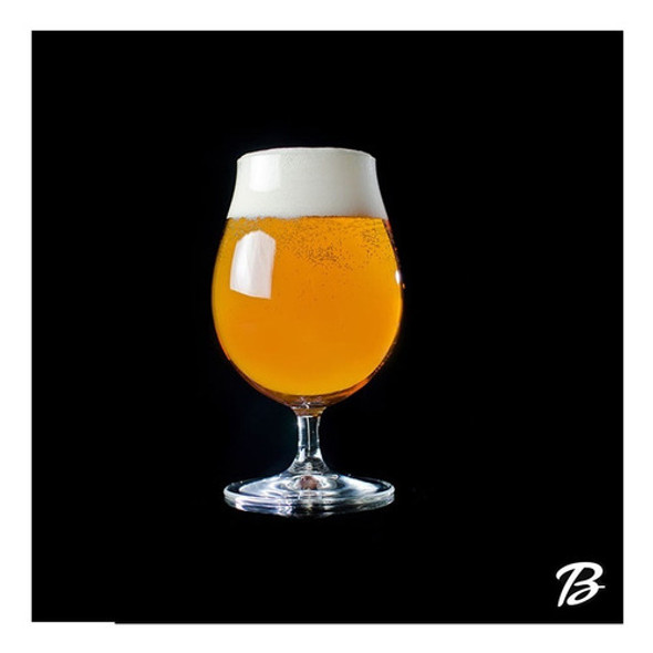 Kit Insumos Cerveza Artesanal - Apa 50lts Beerman 1