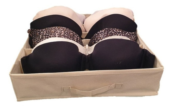 Organizador De Corpiños Para Cajones 1