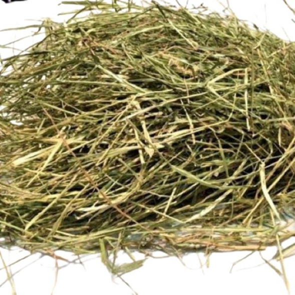 Feno Premium Fresco Verdinho Cheiroso De Holambra Sp 7kg 1