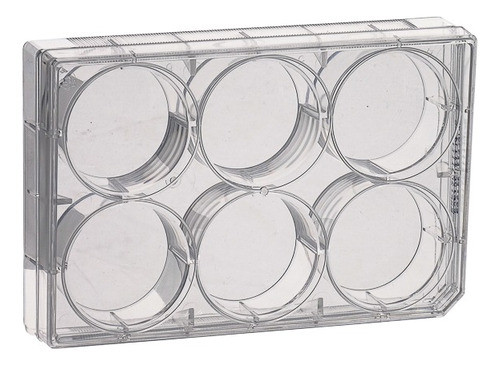 Placa Cultivo Celular 6 Hoyos Dnasa/rnasa Free Paralwall 0
