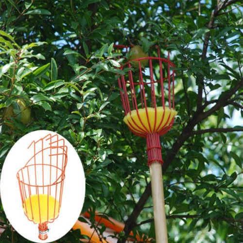 Fruta Fresca Selector Cesta - Naranja, Manzana, Melocotón, E 0
