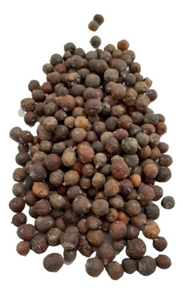 Enebro En Bayas X 500 Gr Distribuidora Lunic 0 Enebro En Bayas X 500 Gr Distribuidora Lunic 0