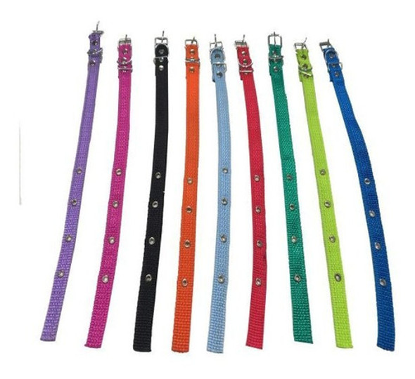 Collar Cinta Nro 1 Perros Gatos Mascotas 0