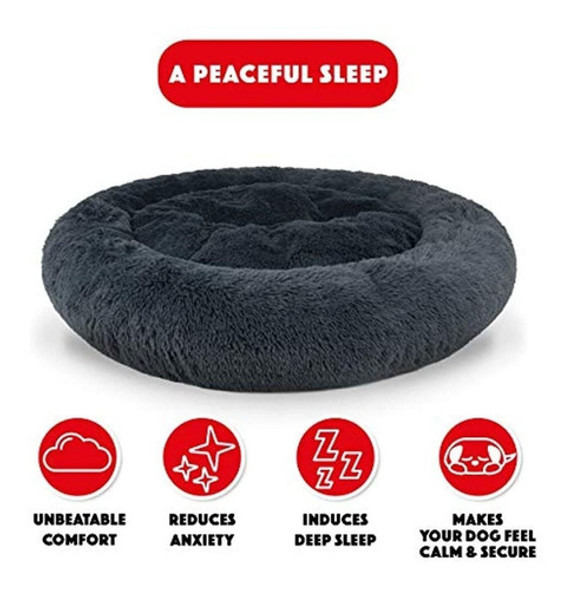 La Cama Del Perro, El Sueño Sonoro, La Cama Para Perros, La 1