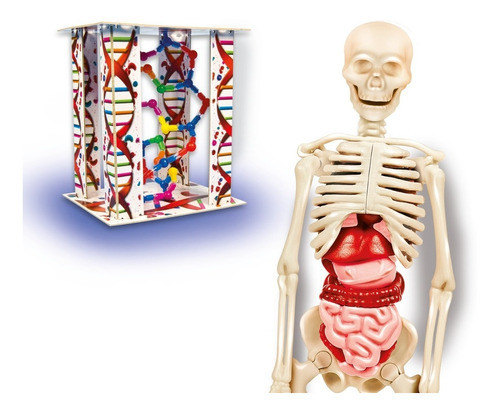 Juego El Cuerpo Humano - Clementoni 1