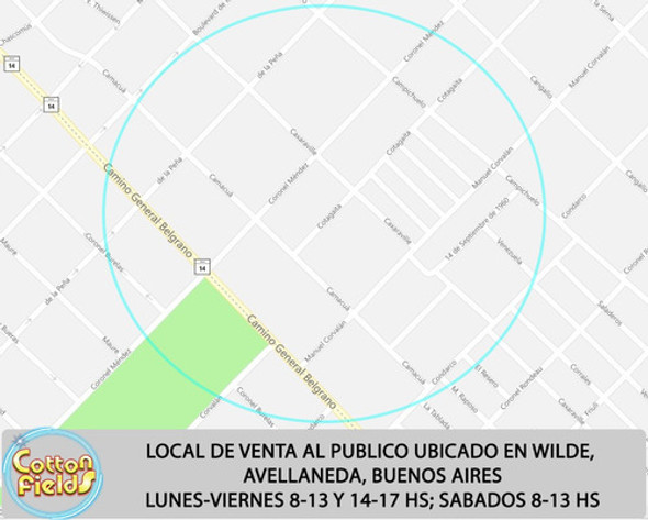 Lavandina Concentrada Para 100 Litros Quimica Cotton Fields 1