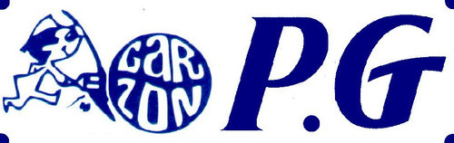 Lona Tipo Carretiero De Pvc Impermeable 6mt X 5mt Verde/azul 1