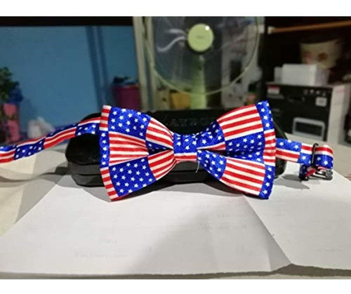 Pajarita Con La Bandera Americana De Ee. Uu. 1