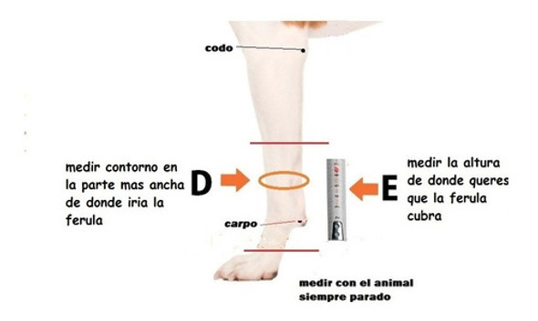 Yeso Plastico Gruyere Termomoldeable Mascotas Hasta 25 1