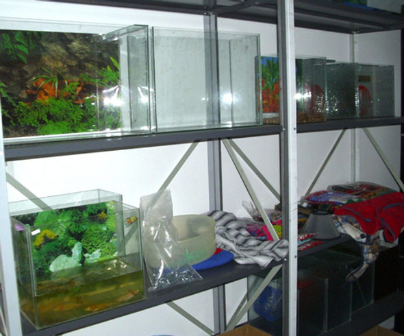 Adorno Para Acuario  Galeon  Antiguo .acuario El Delfin 1