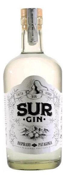 Kit Gin Tonic Sur + Tónica Annika + Cuchara + Jigger 1