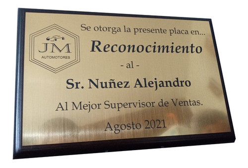 Premio/reconocimiento/profesion Similmetal 20x15cm 0