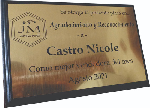 Premio/reconocimiento/profesion Similmetal 20x15cm 1