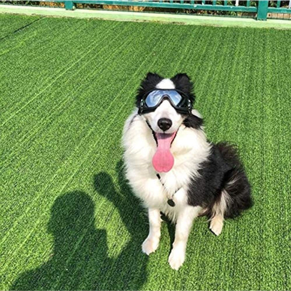 Petleso Dog Goggles Large Dog Sunglasses Uv Proteccion Impe 1 Petleso Dog Goggles Large Dog Sunglasses Uv Proteccion Impe 1