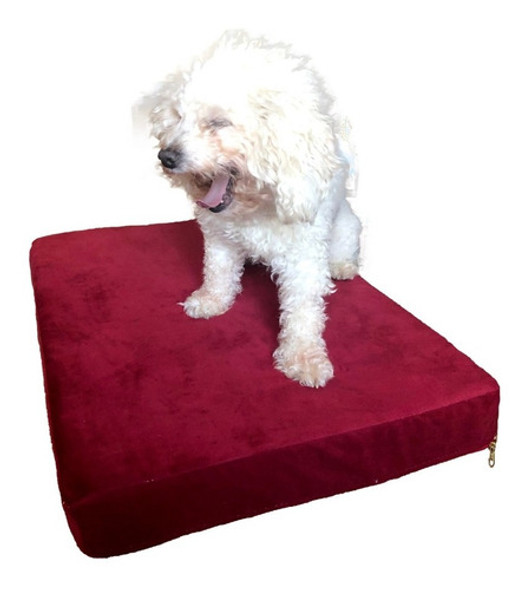 Colchon Mascota Pana Gamuzada Placa Goma Espuma 90x60 G Y G. 0