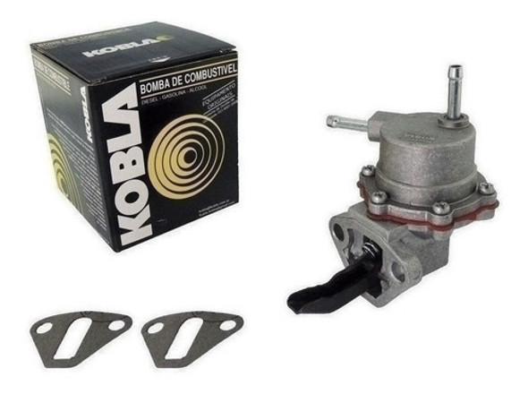 Bomba De Nafta Para Renault 4 Y 6 84/ S/retorno Brazo Largo 0 Bomba De Nafta Para Renault 4 Y 6 84/ S/retorno Brazo Largo 0