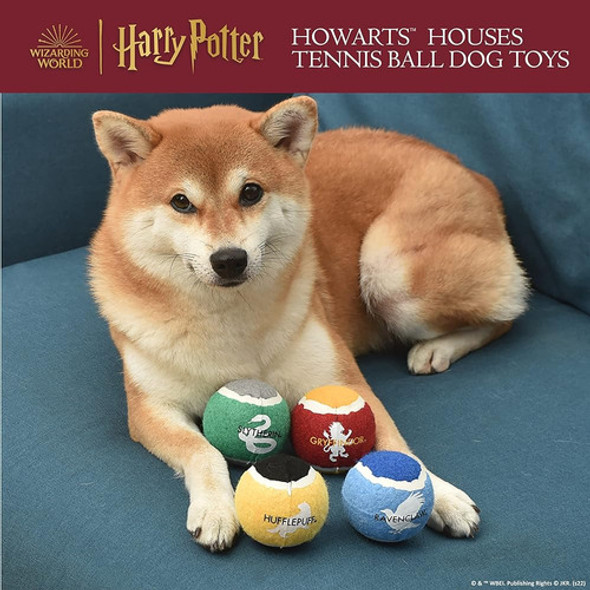 Harry Potter 4 Pack Hogwarts Pride Pet Pelotas De Tenis | Bo 1